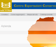 Posizionamento web